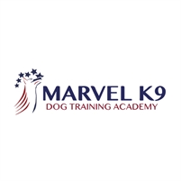 Marvel K9 Dog Training Academy  François-Xavier Massart
